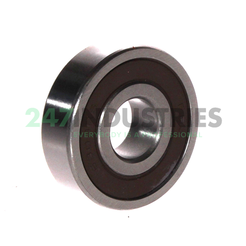 6303 2RS FBJ Image 2