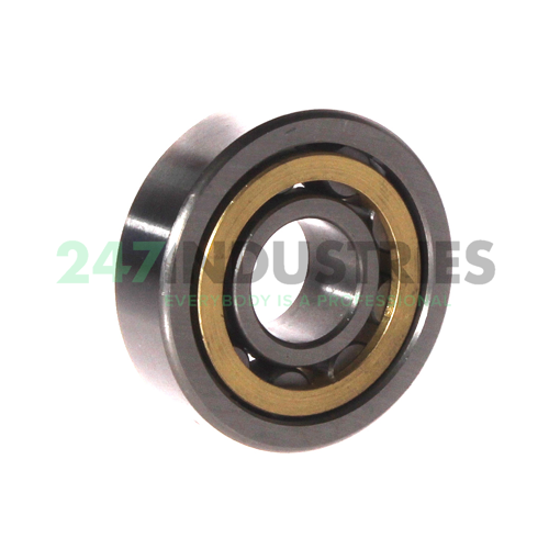 NU303E C3 FBJ Image 2