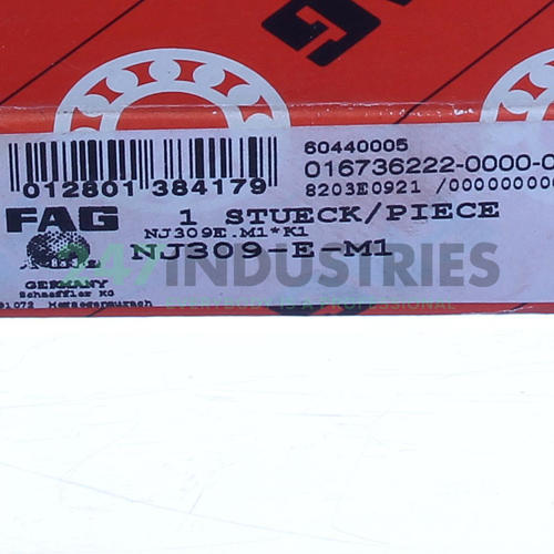 NJ309-E-M1 FAG Image 8