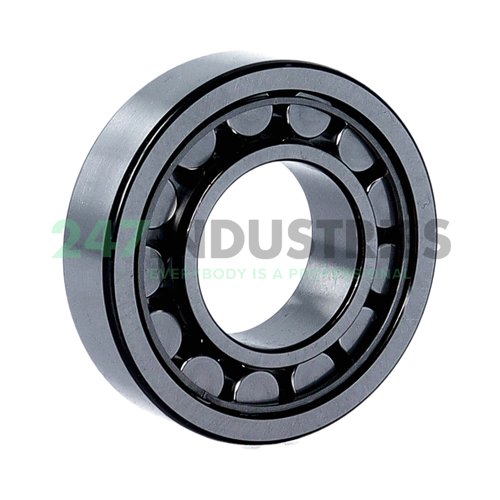 NU206ECJ SKF Image 2