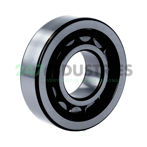 NJ306ECP/C4 SKF Image 2