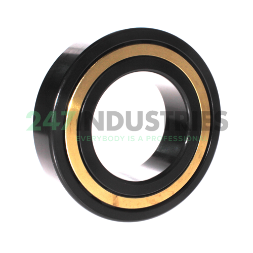 NJ2220-E-M1-J30PC-C3 FAG Image 2