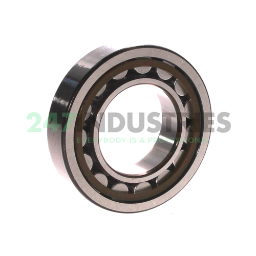 NJ209ECP/C3 SKF Image 2