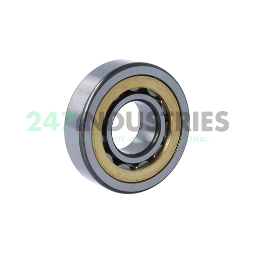 NU305-E-XL-M1A-C4 FAG Image 2