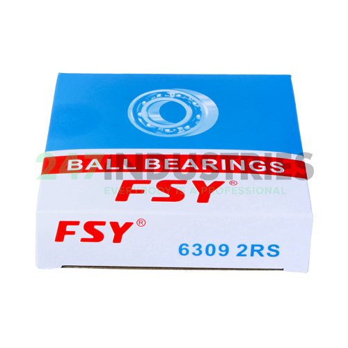 6309 2RS FSY Image 3