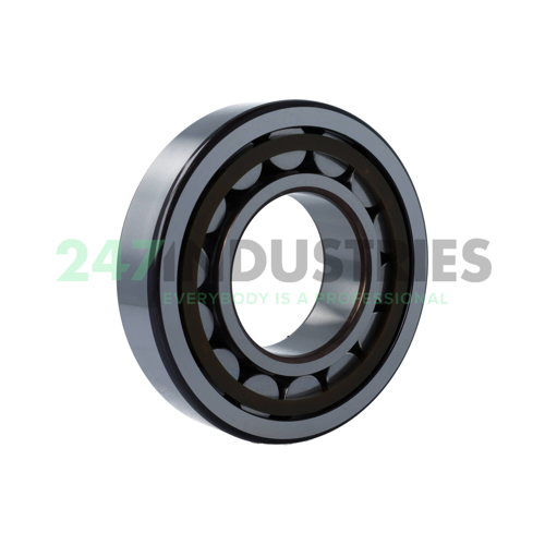 NJ317ECP/C3 SKF Image 2