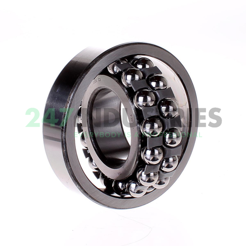 1309 J30 SNR Image 2