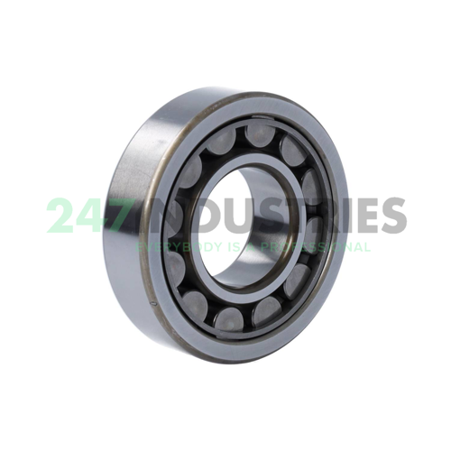 RNU307EW NSK Image 2