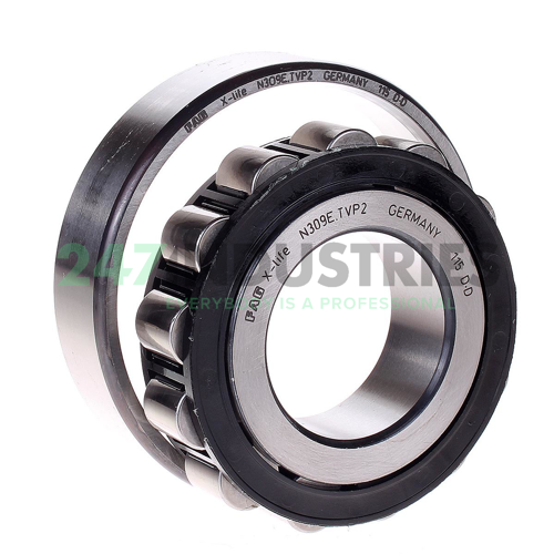 N309E.TVP2 FAG Image 2