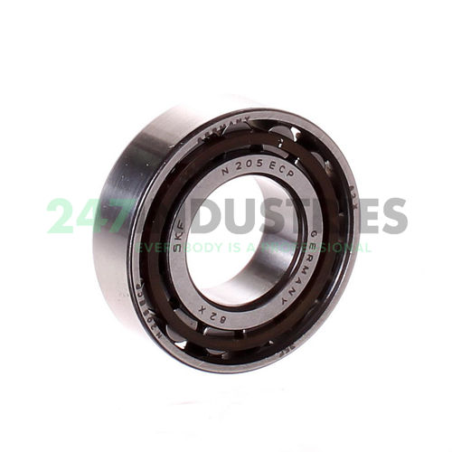 N205ECP SKF