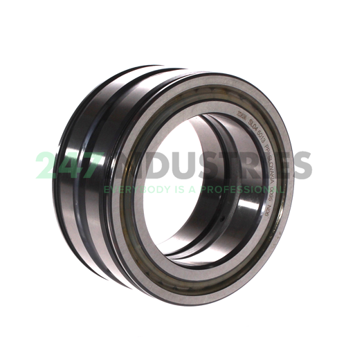 SL04-5013PP INA