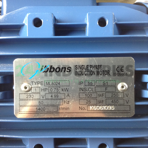 ML8024B35 Gibbons Image 2