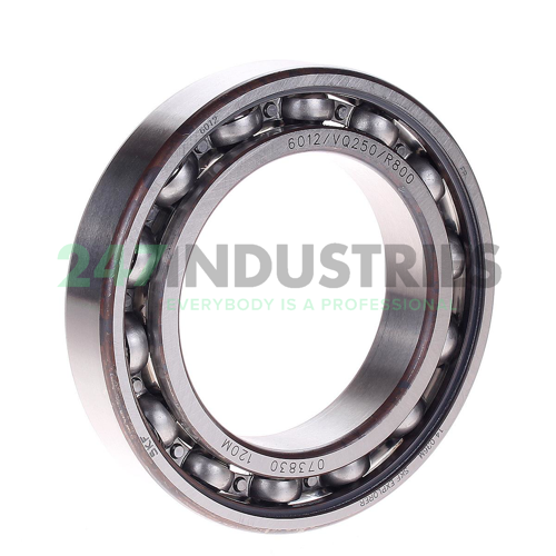6012/VQ250/R800 SKF