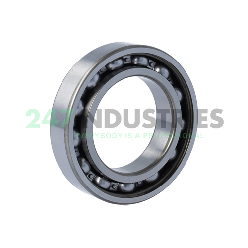 6009-RSR FAG Image 2