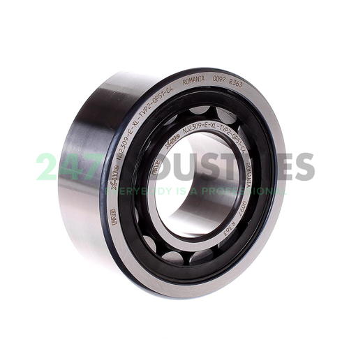 NJ2309-E-XL-TVP2-QP51-C4 FAG