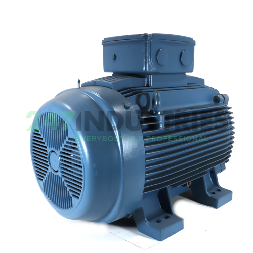 200K32CI0315S/M4B3 WEG Image 3