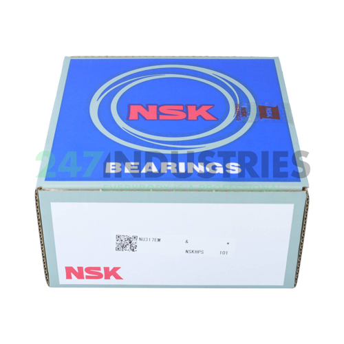 NU317EM NSK Image 3