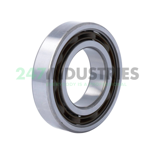 6209TN9W/C4H SKF Image 2