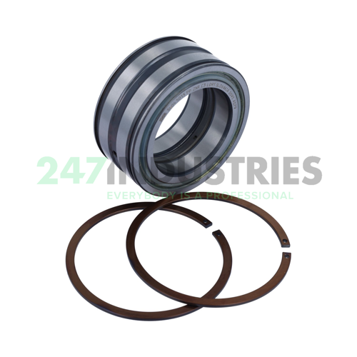 SL045013-PP-2NR-C3-L091 INA