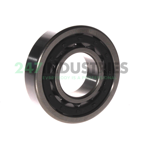 NU308E C3 FBJ Image 2