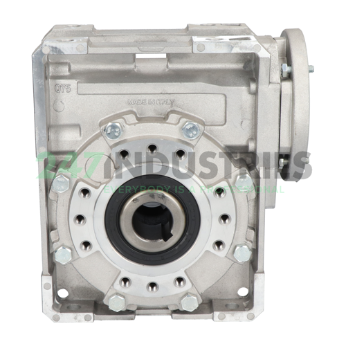 SWG75-80B14-80-30 Felstrom Image 4