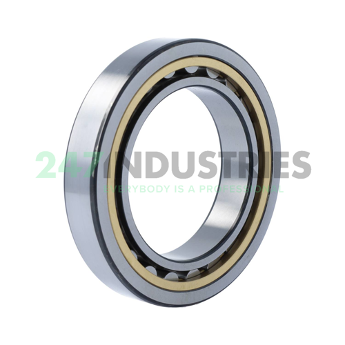 NU1018ML/C3 SKF Image 2