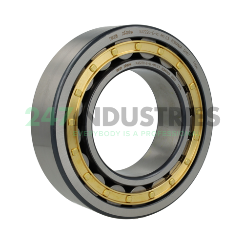 NJ2220-E-XL-M1-C3 FAG