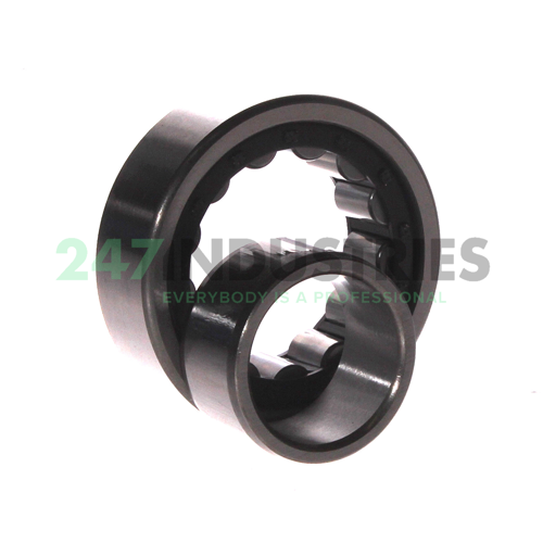 NU2206E C3 FBJ Image 3