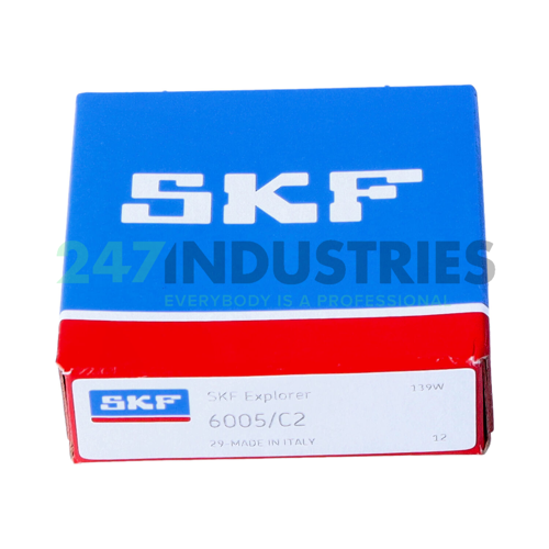 6005/C2 SKF Image 3
