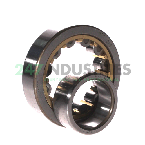 NU309G1 CM NTN Image 3