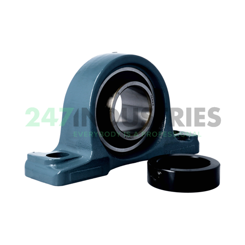 UGP209 Asahi Image 3