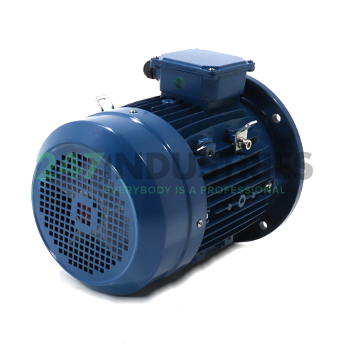 IE1-MSE-132S1-2-B5 Cemer Image 3