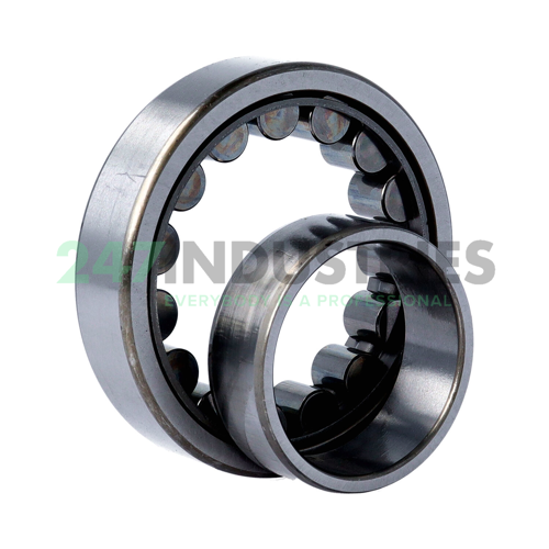 NU209EWKC3 NSK Image 3