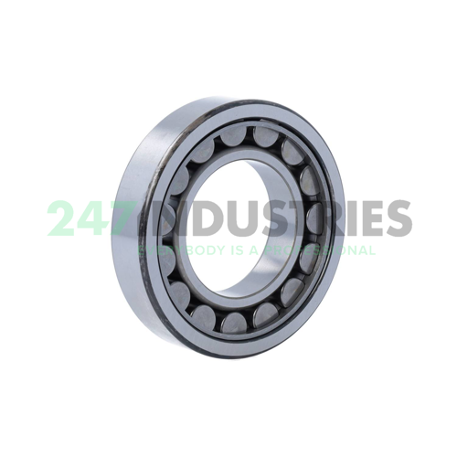 NUP209EW NSK Image 2