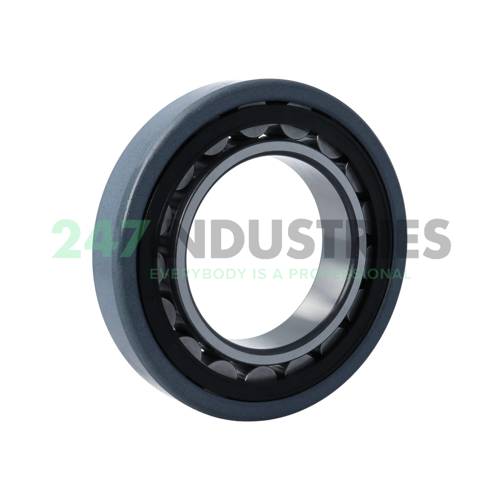 NU218-E-XL-TVP2-J20A-C3 FAG Image 2