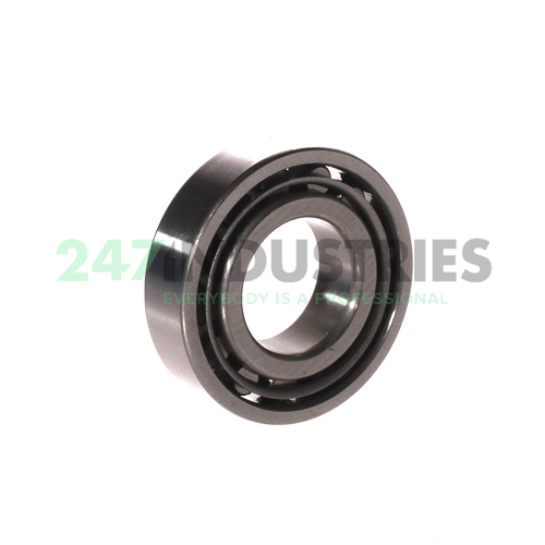 N206W NSK Image 2