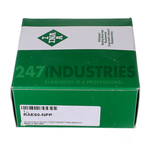 RAE60-NPP INA