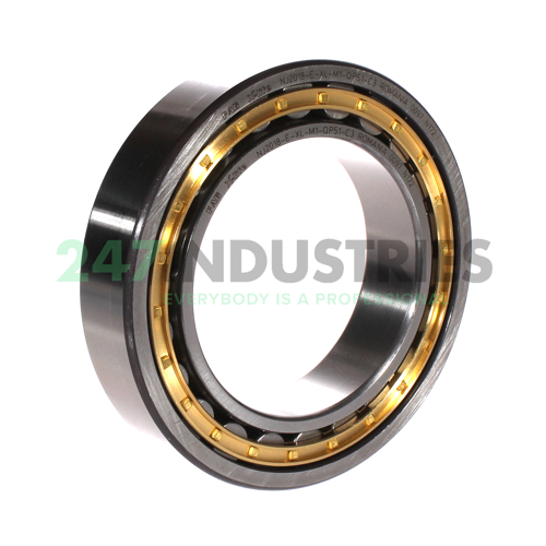 NJ2018-E-XL-M1-QP51-C3 FAG