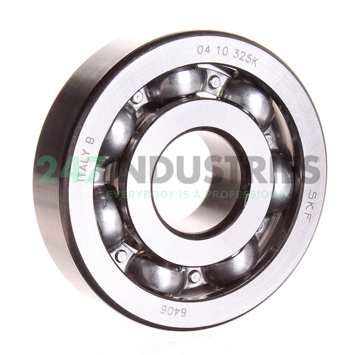 6406 SKF