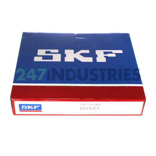 6024/C3 SKF Image 2