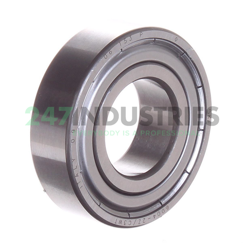 6004-2Z/C3WT SKF