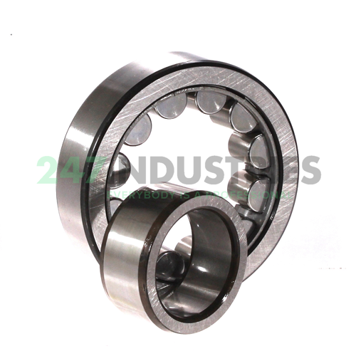 NU1013ML SKF Image 3