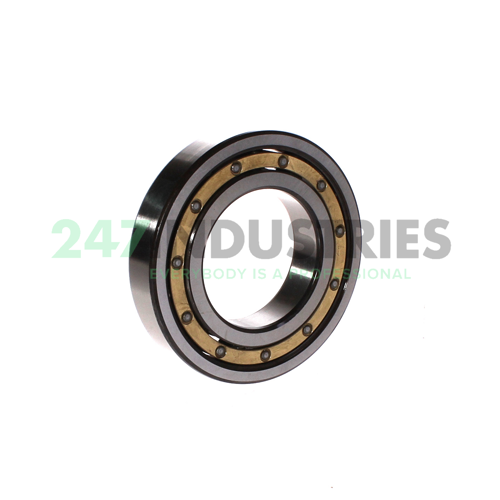 6213M/C3S0VQ335 SKF Image 2