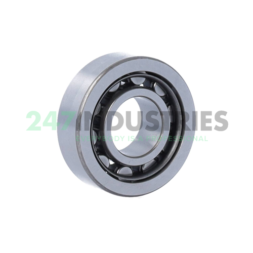 NU203WC3 NSK Image 2