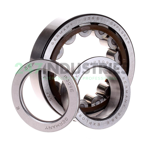 NU309ECP SKF Image 2