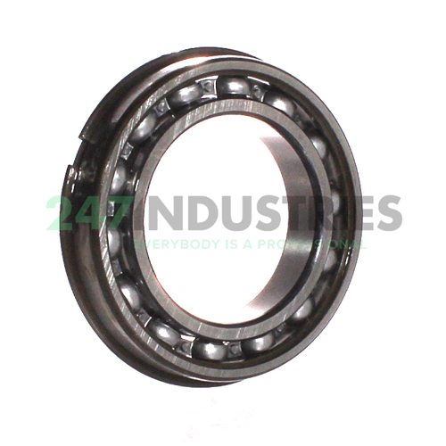 6012NR SKF Image 2