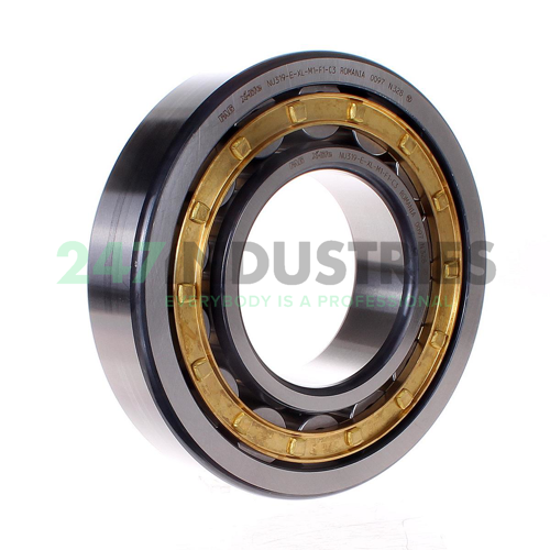 NU319-E-XL-M1-F1-C3 FAG