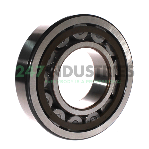 NU315ECP/C3 SKF Image 2