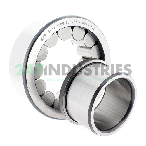 SL192309 INA Image 2