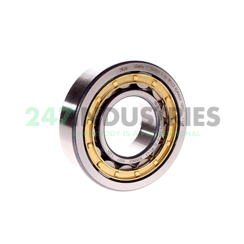 NU309-E-XL-M1-C3 FAG